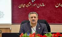عشایر ظرفیت خودکفایی در تولید گوشت قرمز را دارند